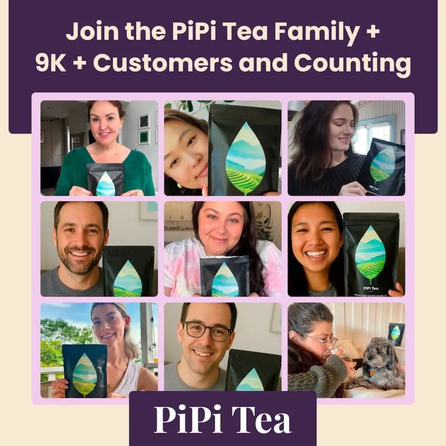 PiPi Tea Organic Oolong tea